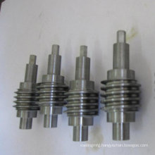 High Quality Worm Gear as Auto Parts in China